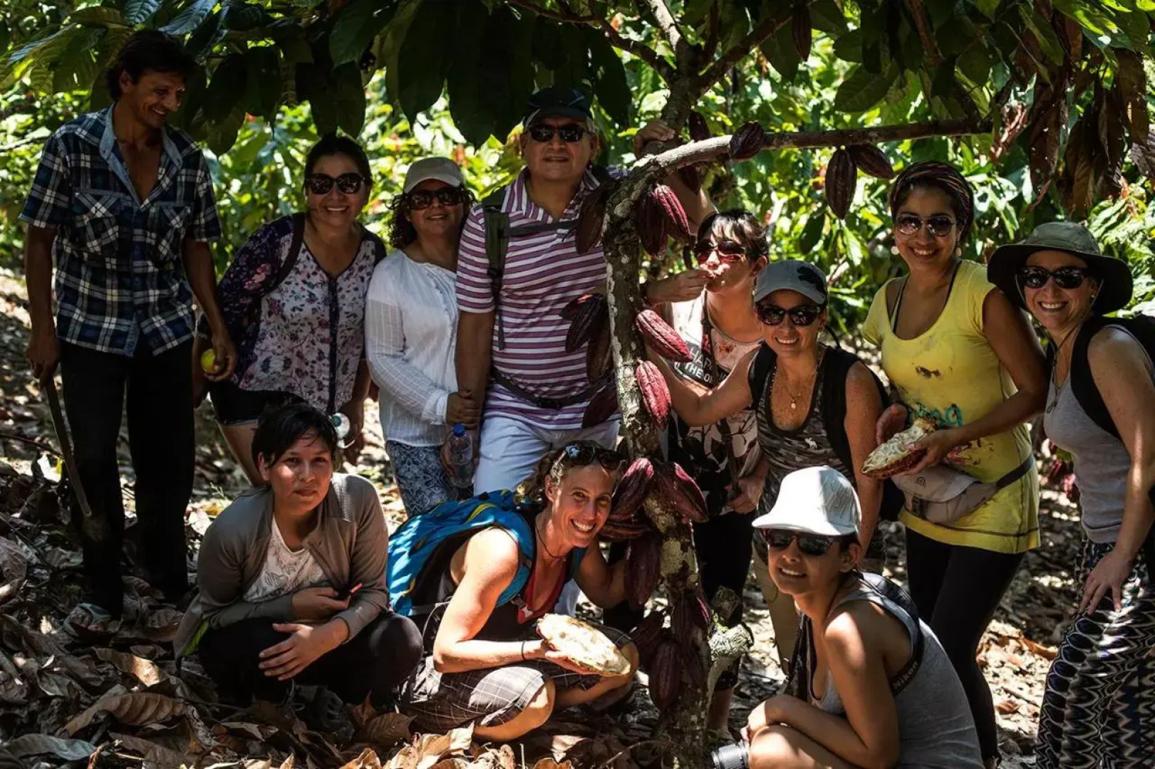 Chirapa Manta Amazon Lodge