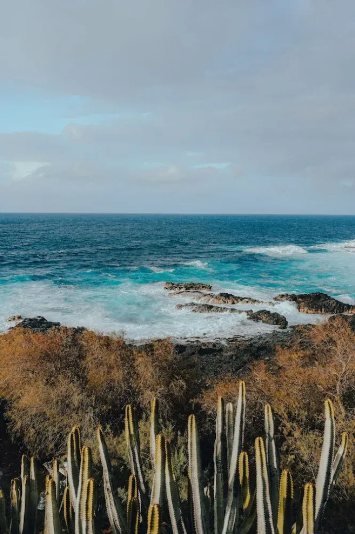 Boutique Eco-Hotel Costa Mágica