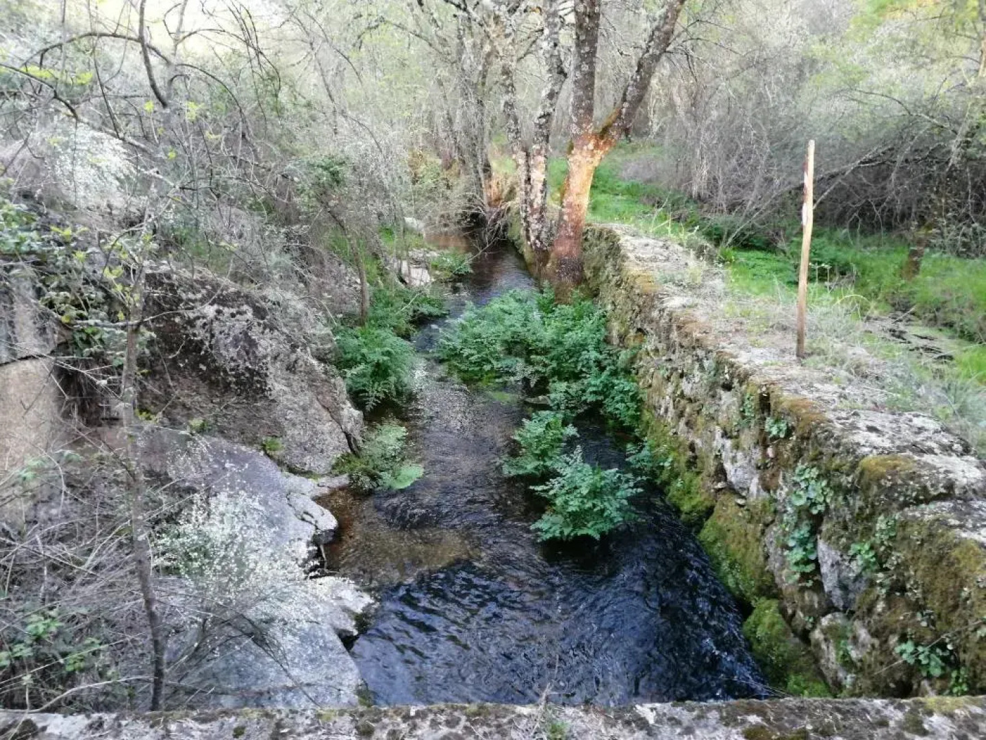 Monte da Fonte Santa de São Luís