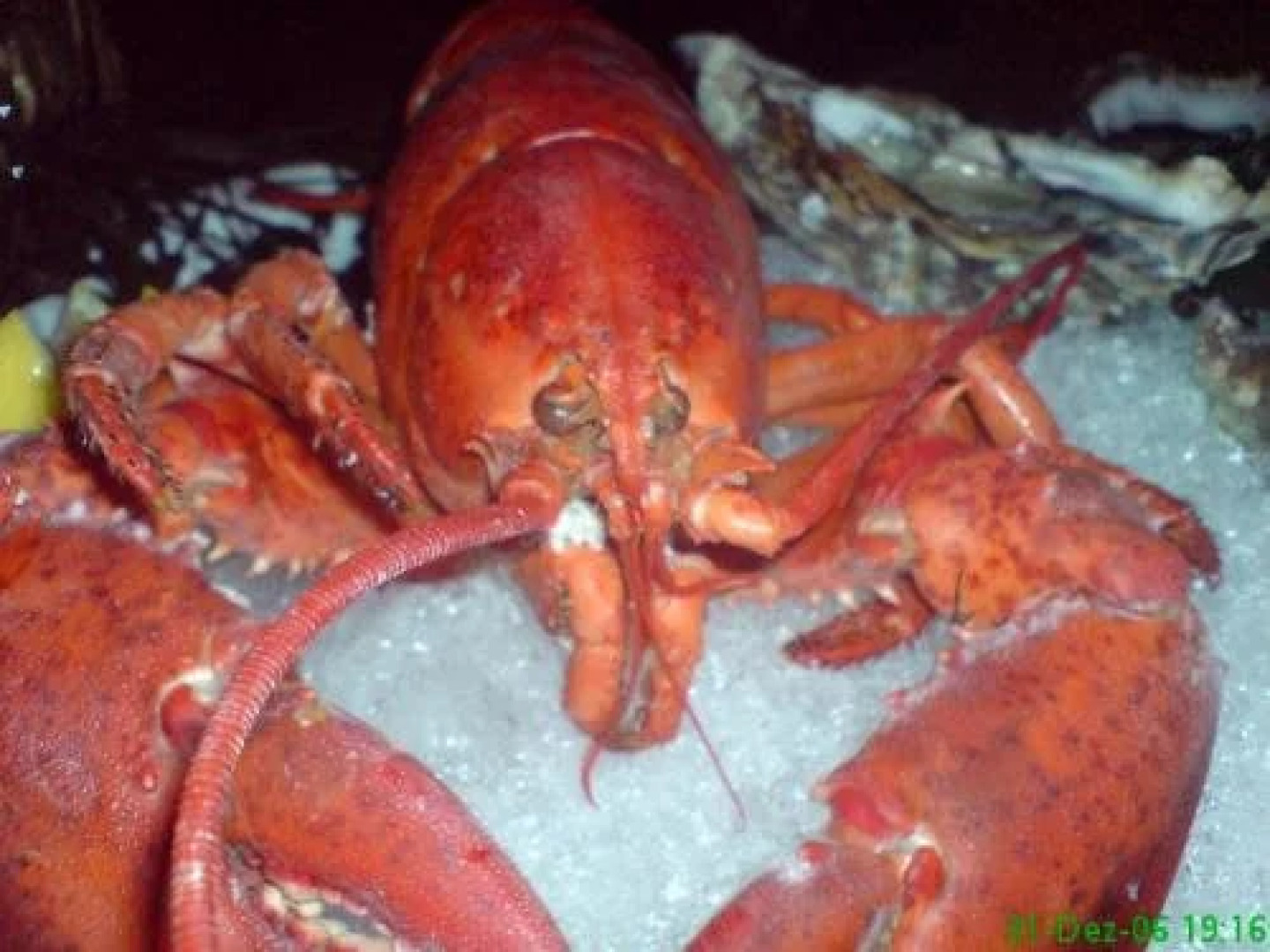 Hotel Restaurant zum Sternen