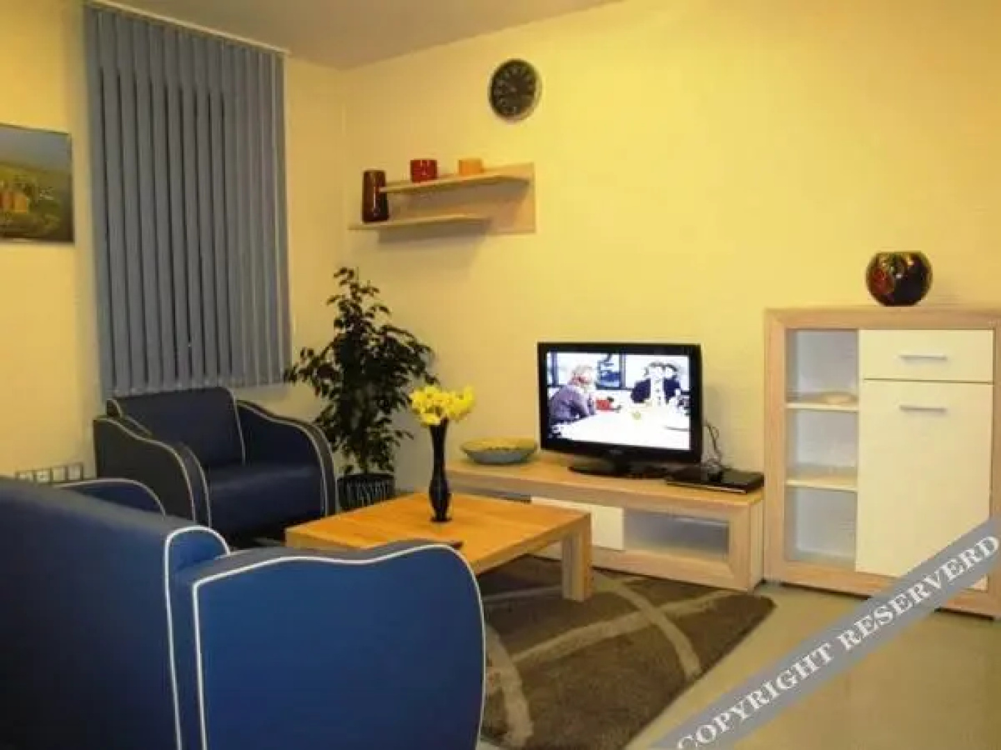 Vitoshka apartment