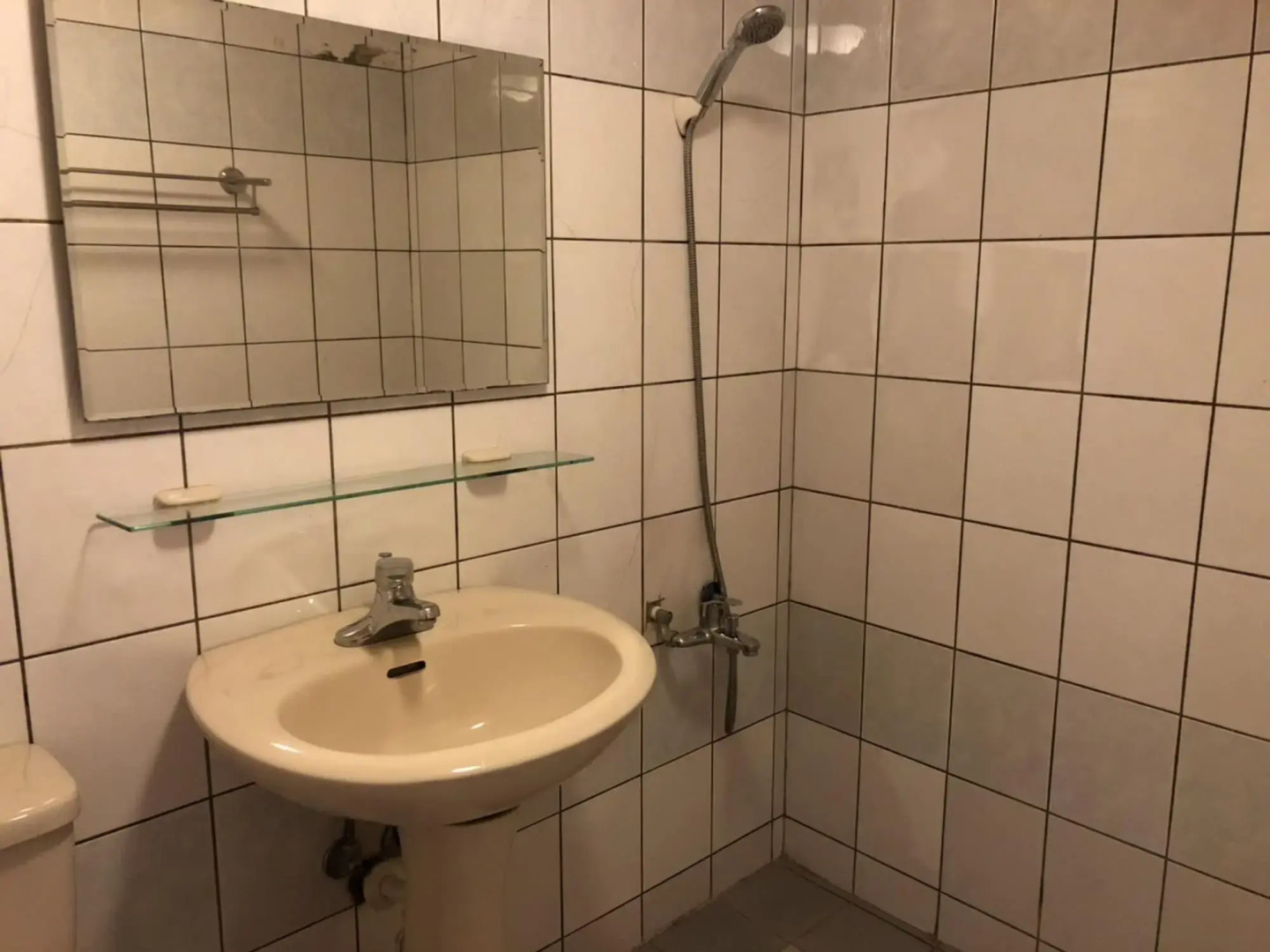 Cingjing Brilliant Twins of Seattle