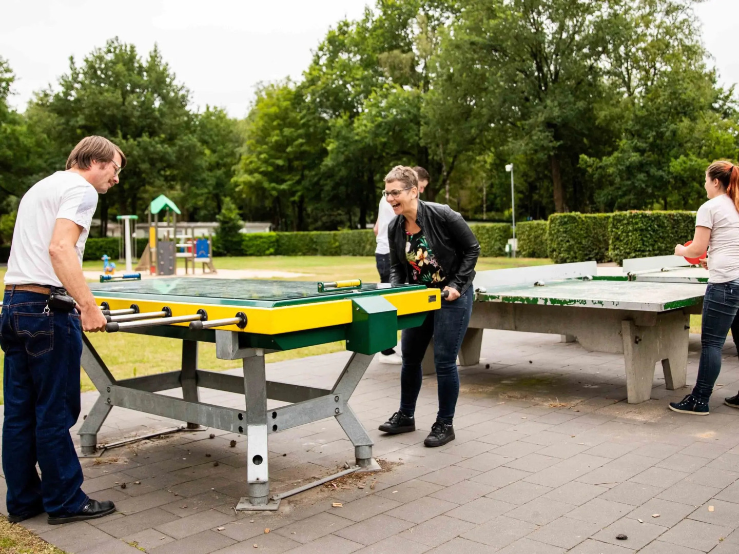 Luxury Chalet With Dishwasher, in a Holiday Park in the Middle of De Veluwe