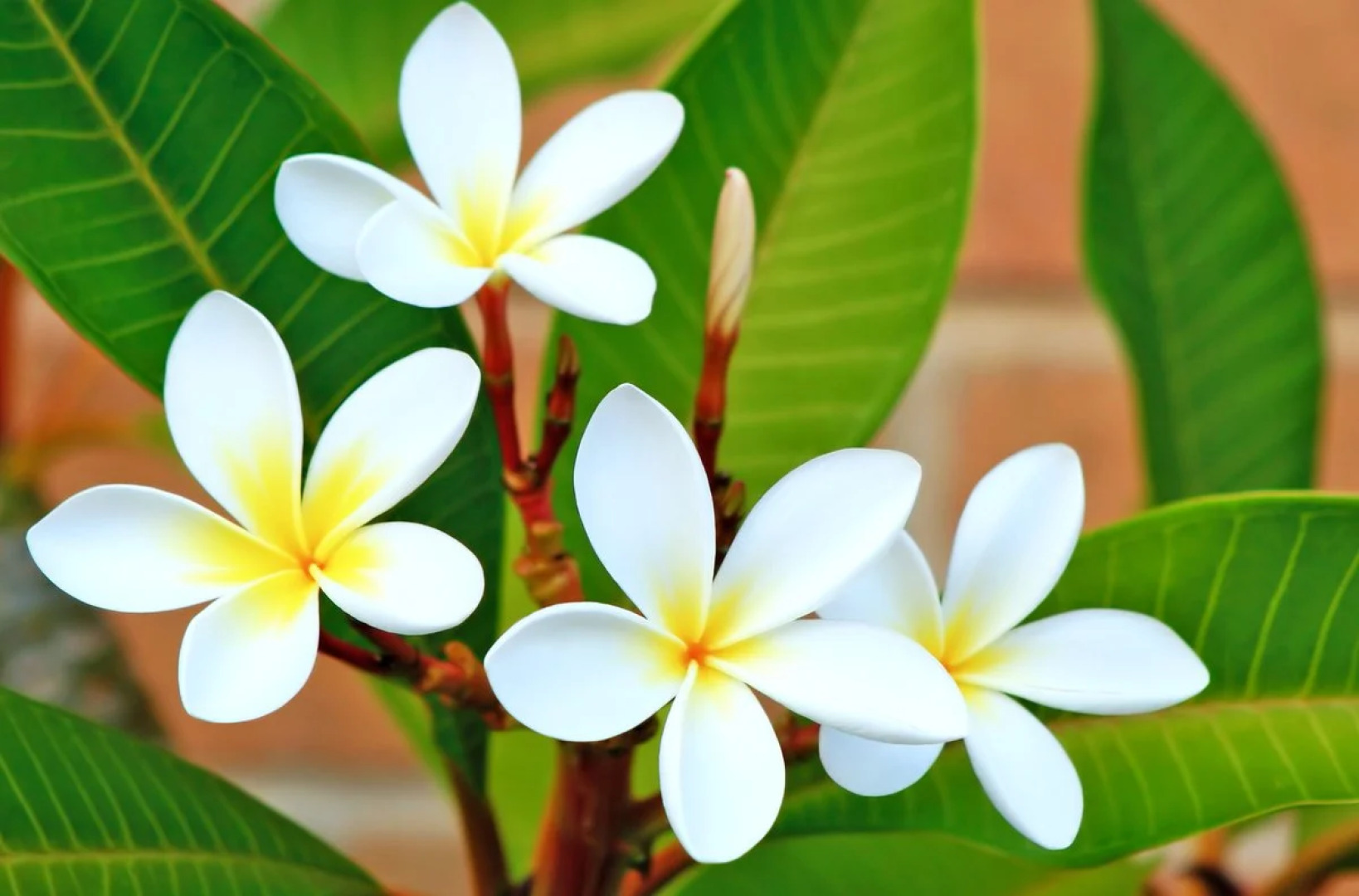 Grand Hotel Salsomaggiore