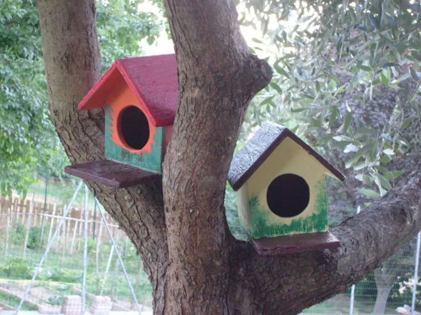 Farm stay Agriturismo la Borgaccia