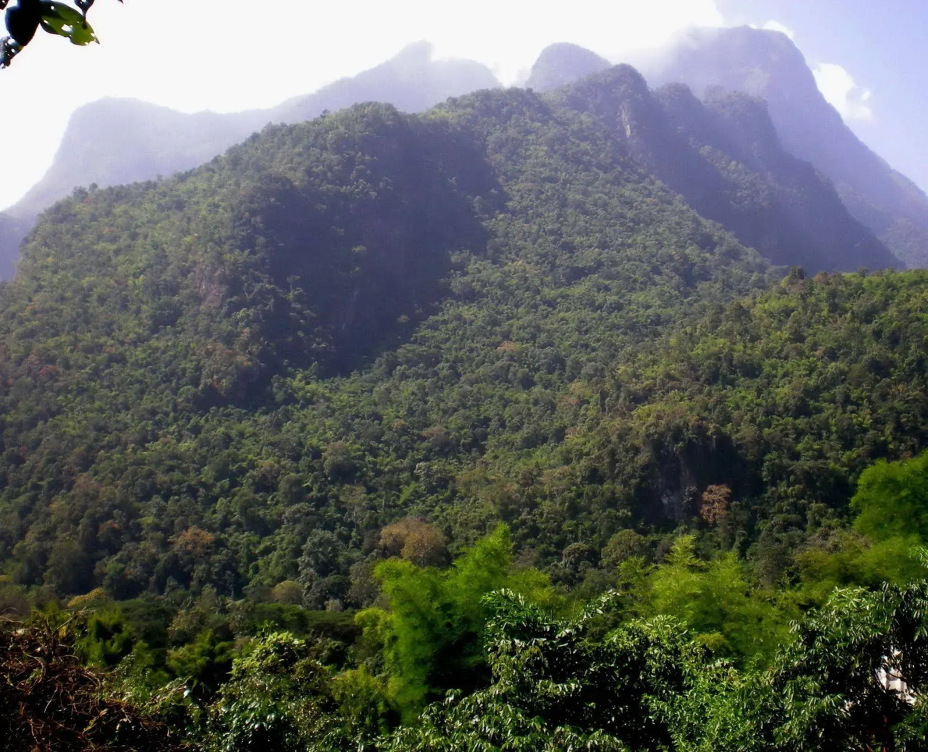 Chiang Dao Roundhouses