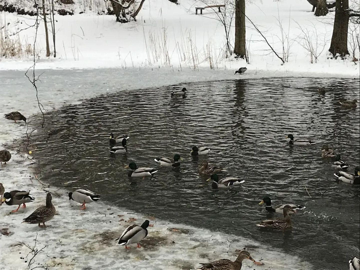 Parkschlösschen Lichtenstein