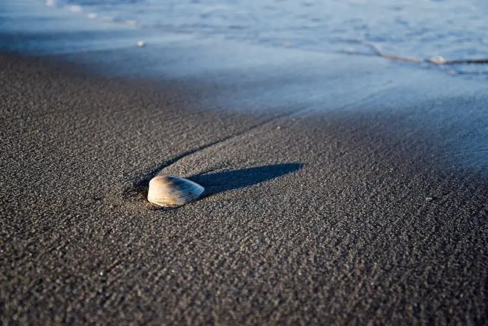 Beachy Lavallette Cottage w/ Outdoor Shower, Patio