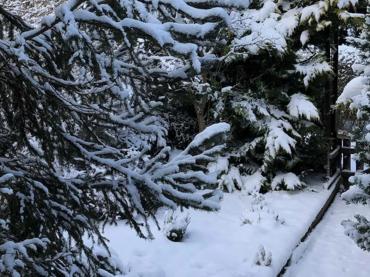 Holiday Home Near Harzgerode With Whirlpool