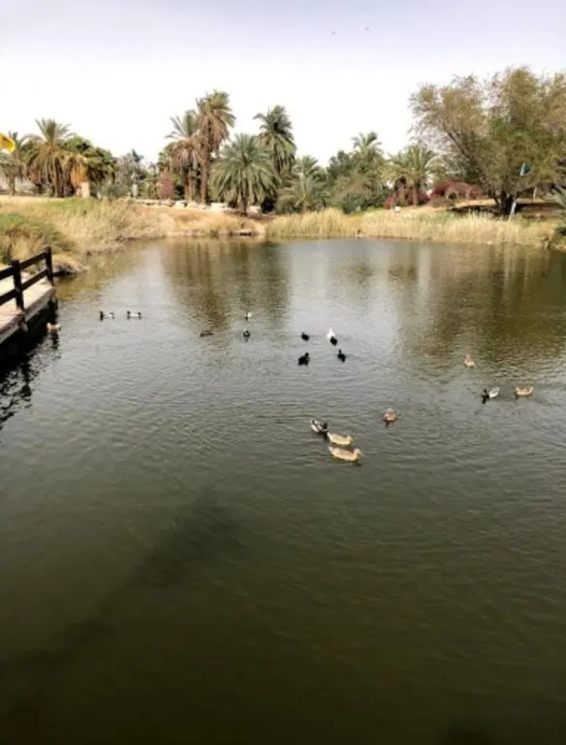 הבית החום בערבה יחידה זוגית
