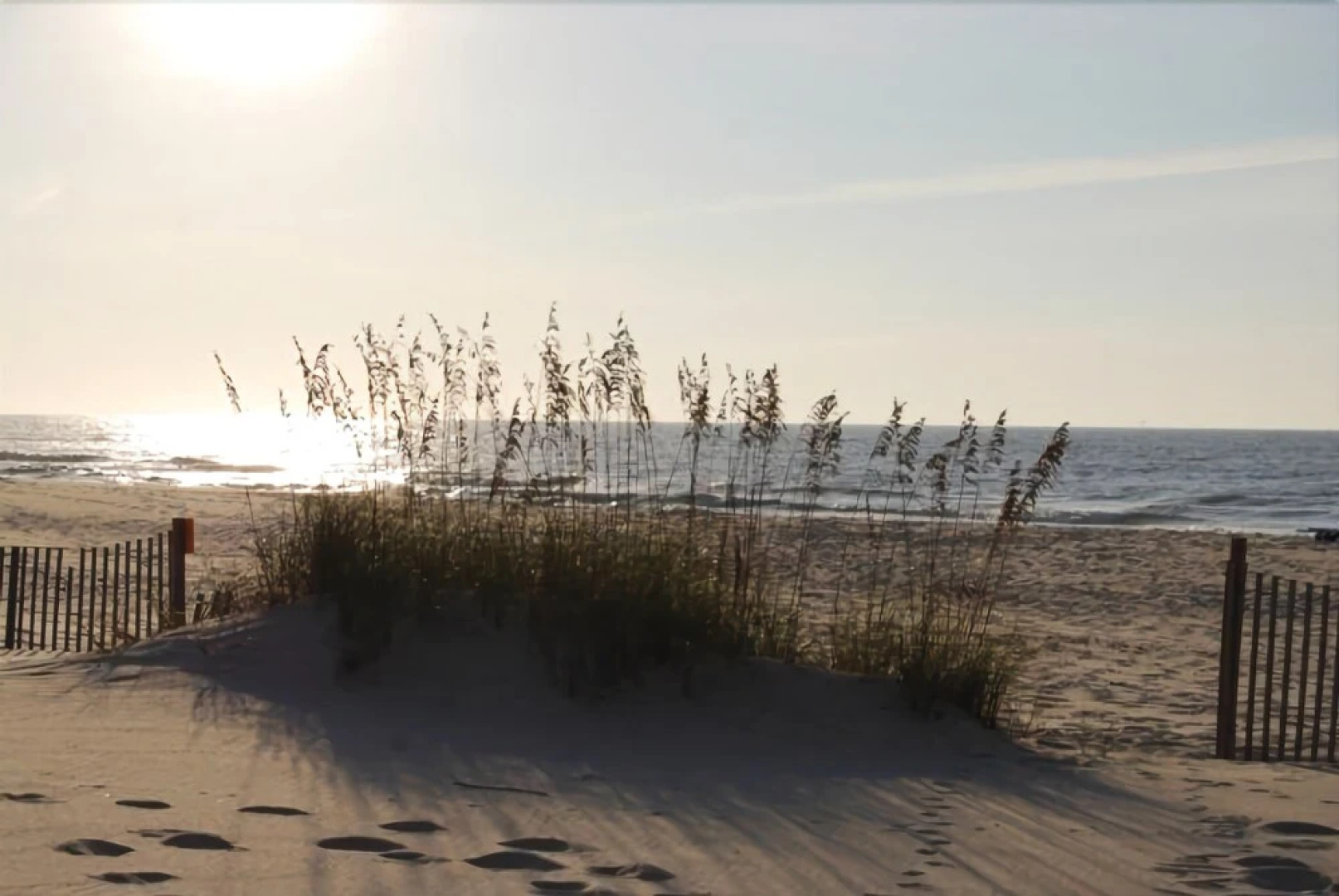 Blue Dolphy West Home