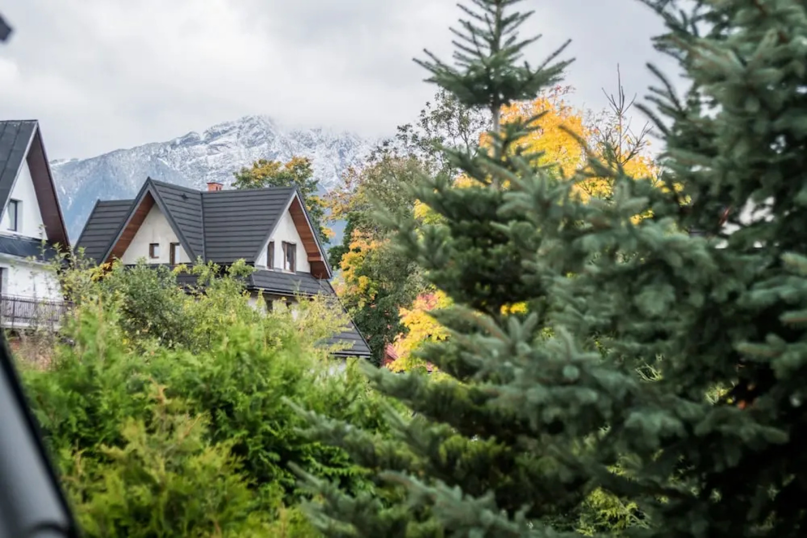 Apartament Nowotarski