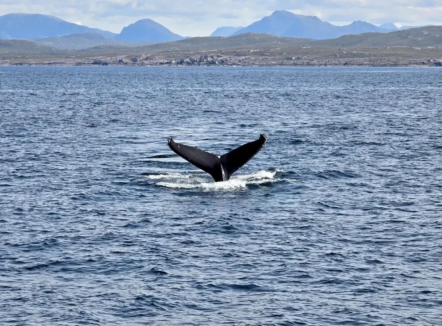 Kildonan House Village Centre Sleep 8 With hot tub