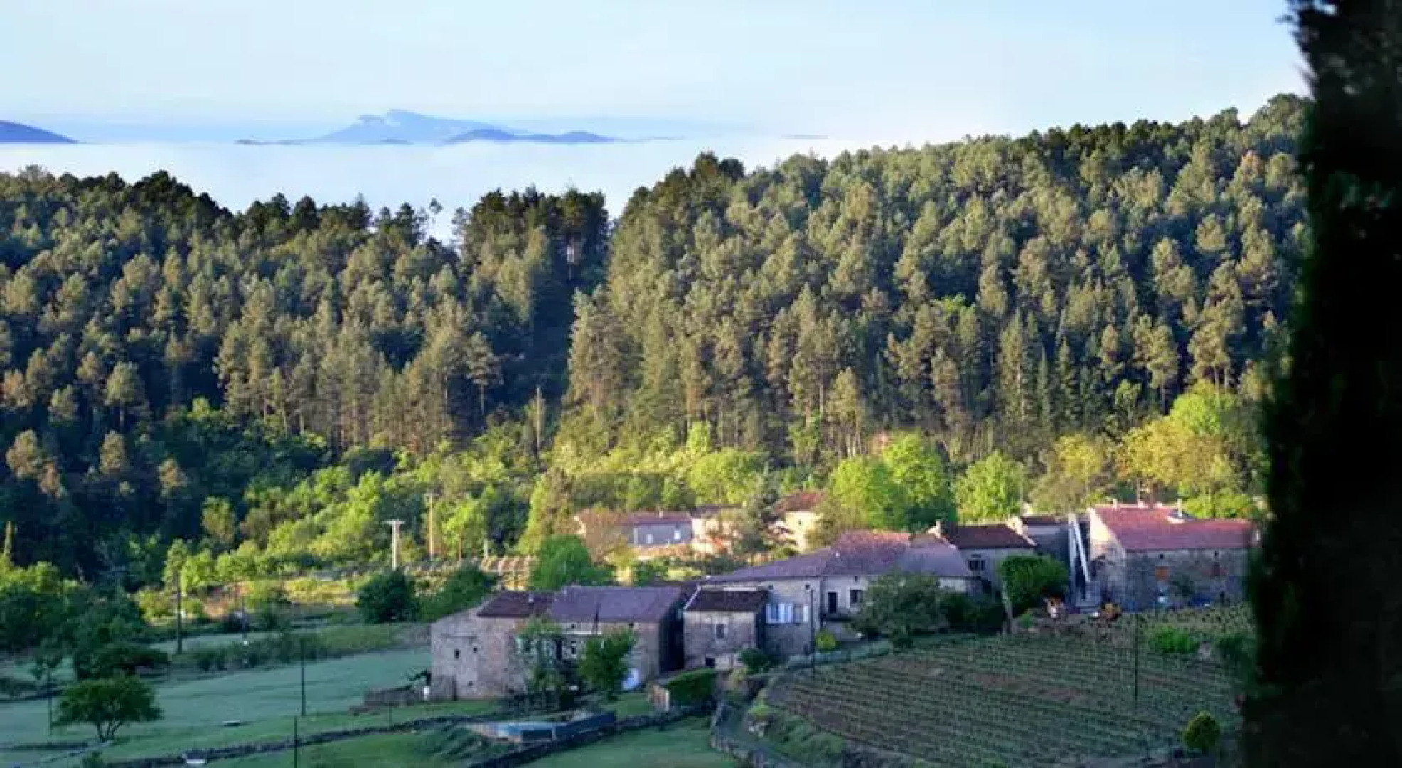 Maison Vierthaler en bas