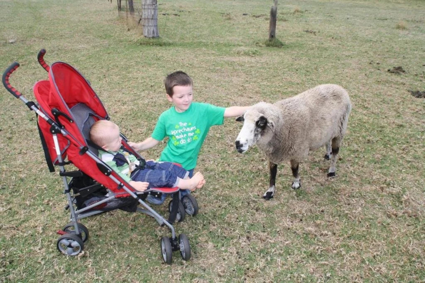 Cinnamon Coloureds Farm Cottages
