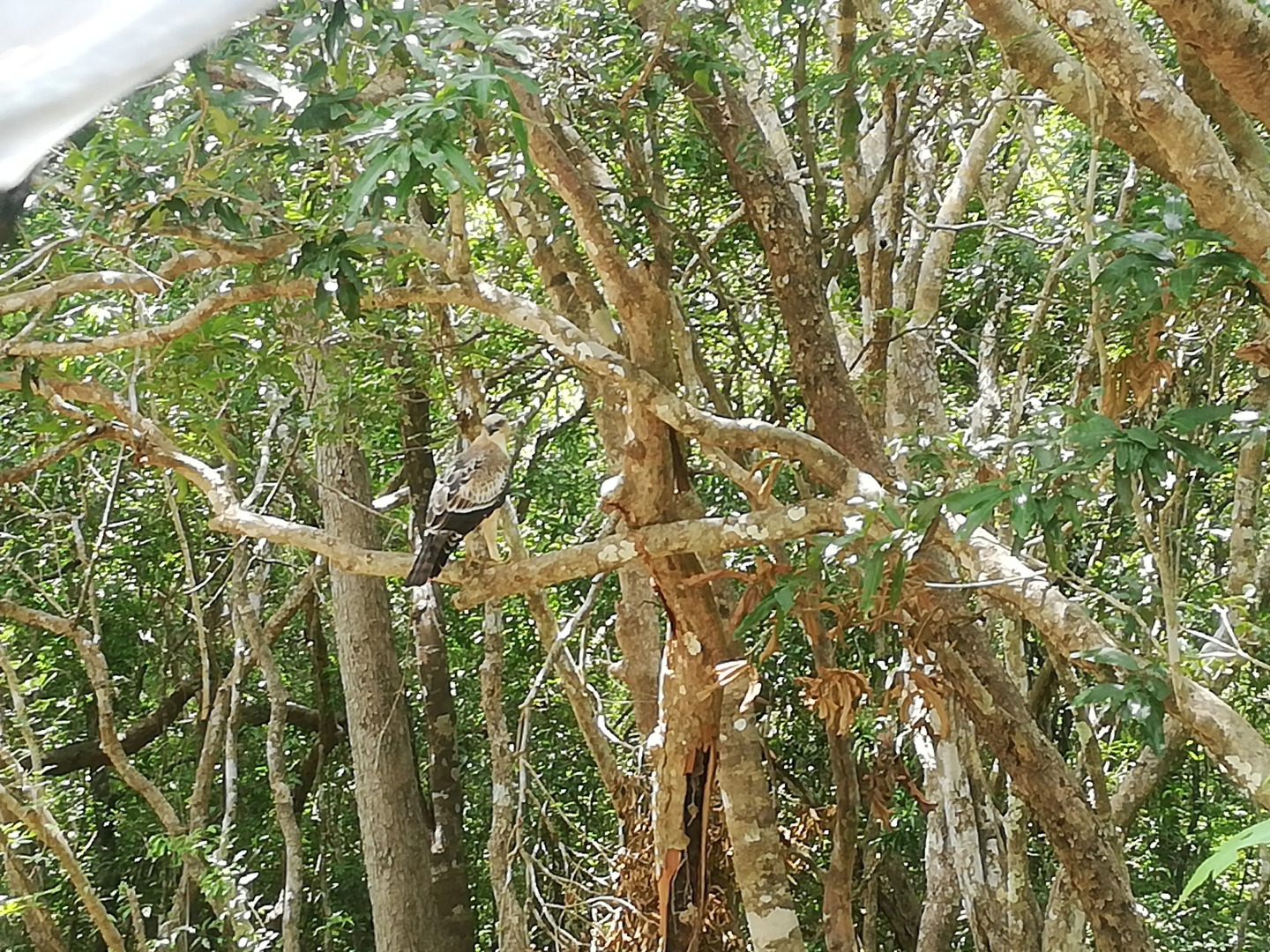 Seth Dev Lagoon Chalets Kalpitiya
