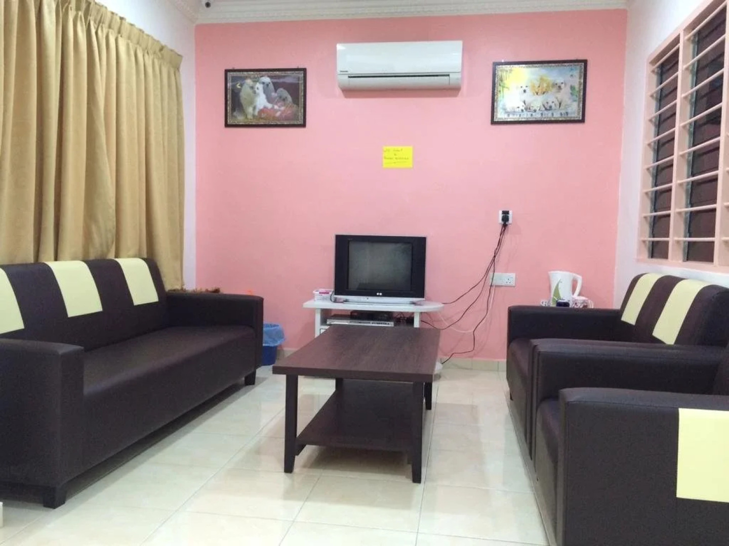 Lazy Bear Sleeping Place