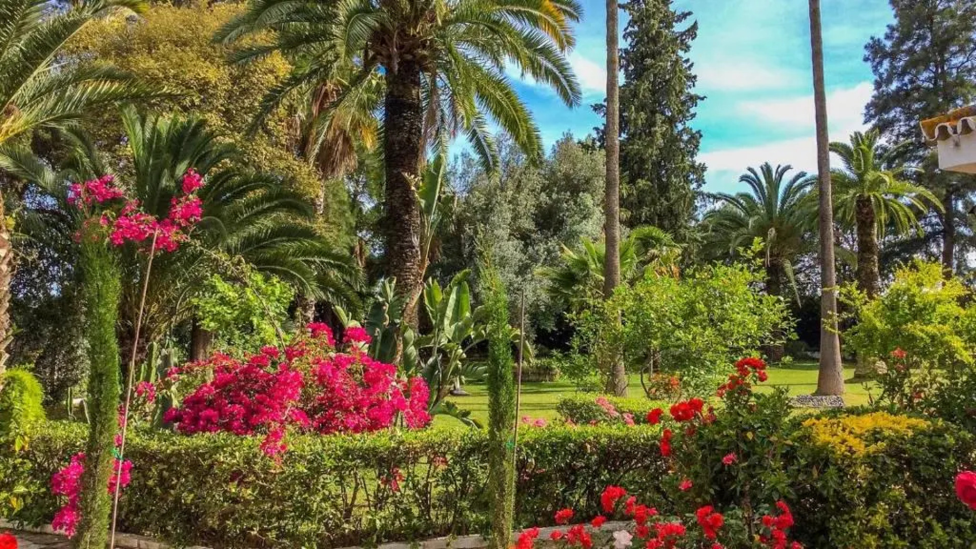 Casa Las Palmeras Sanlucar La Mayor by Ruralidays
