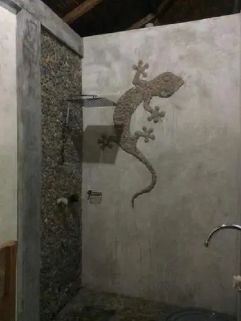 Sumatra Rainforest Eco Retreat