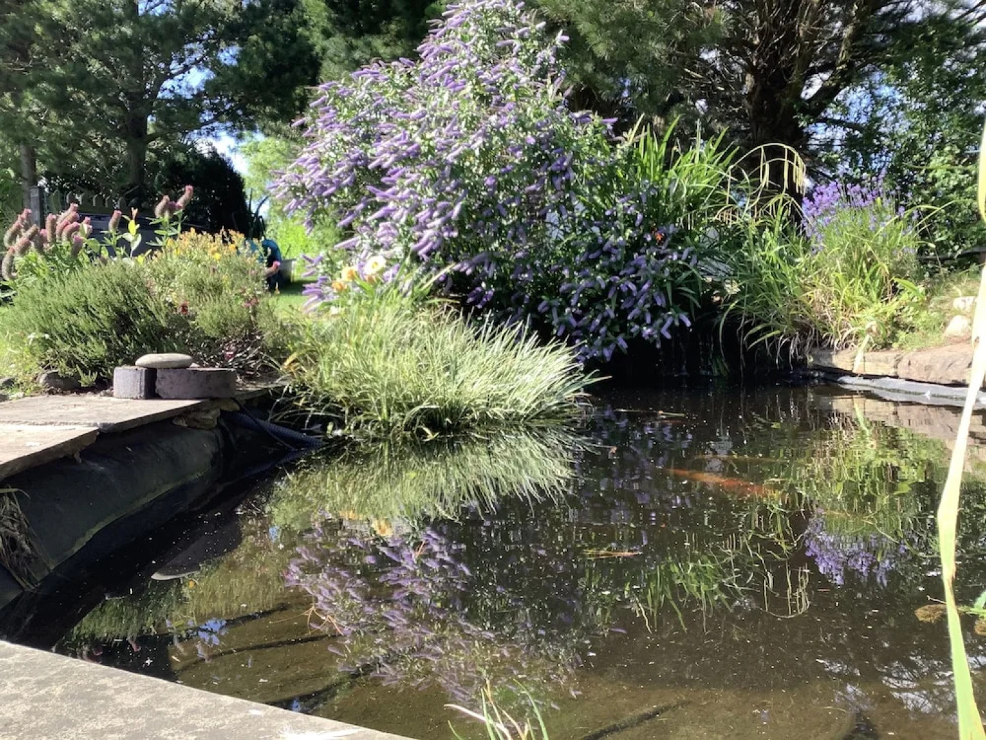 A Serene and Tranquil Escape for two