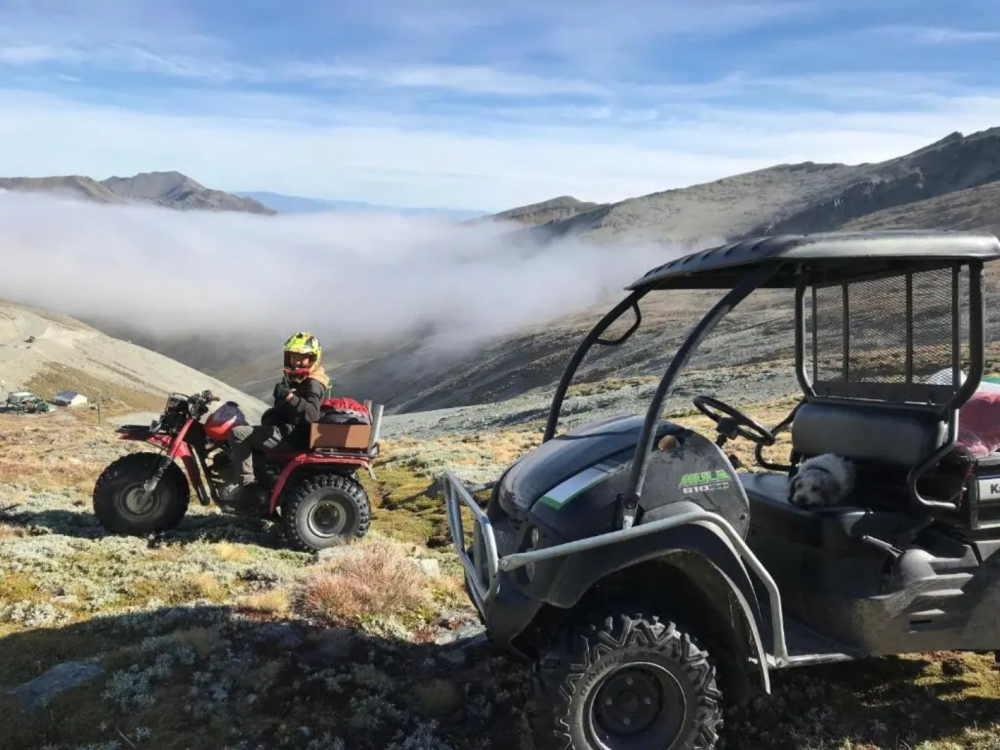 Musterers Accommodation Fairlie