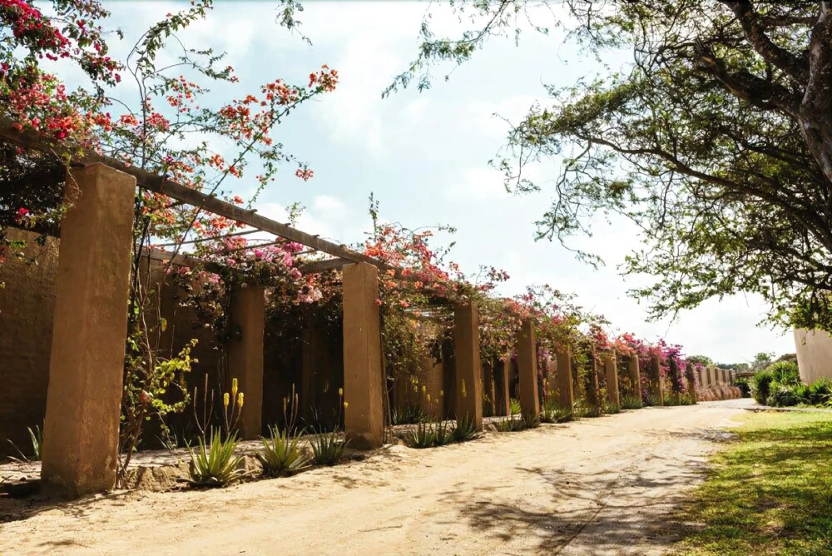 Moche Sanctuary Lodge