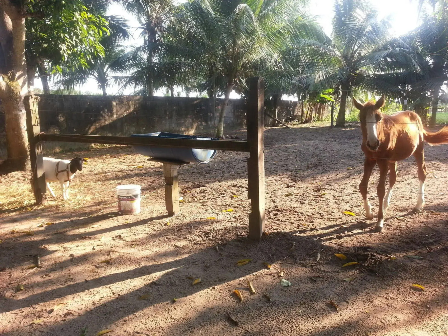 Chácara Santa Bárbara