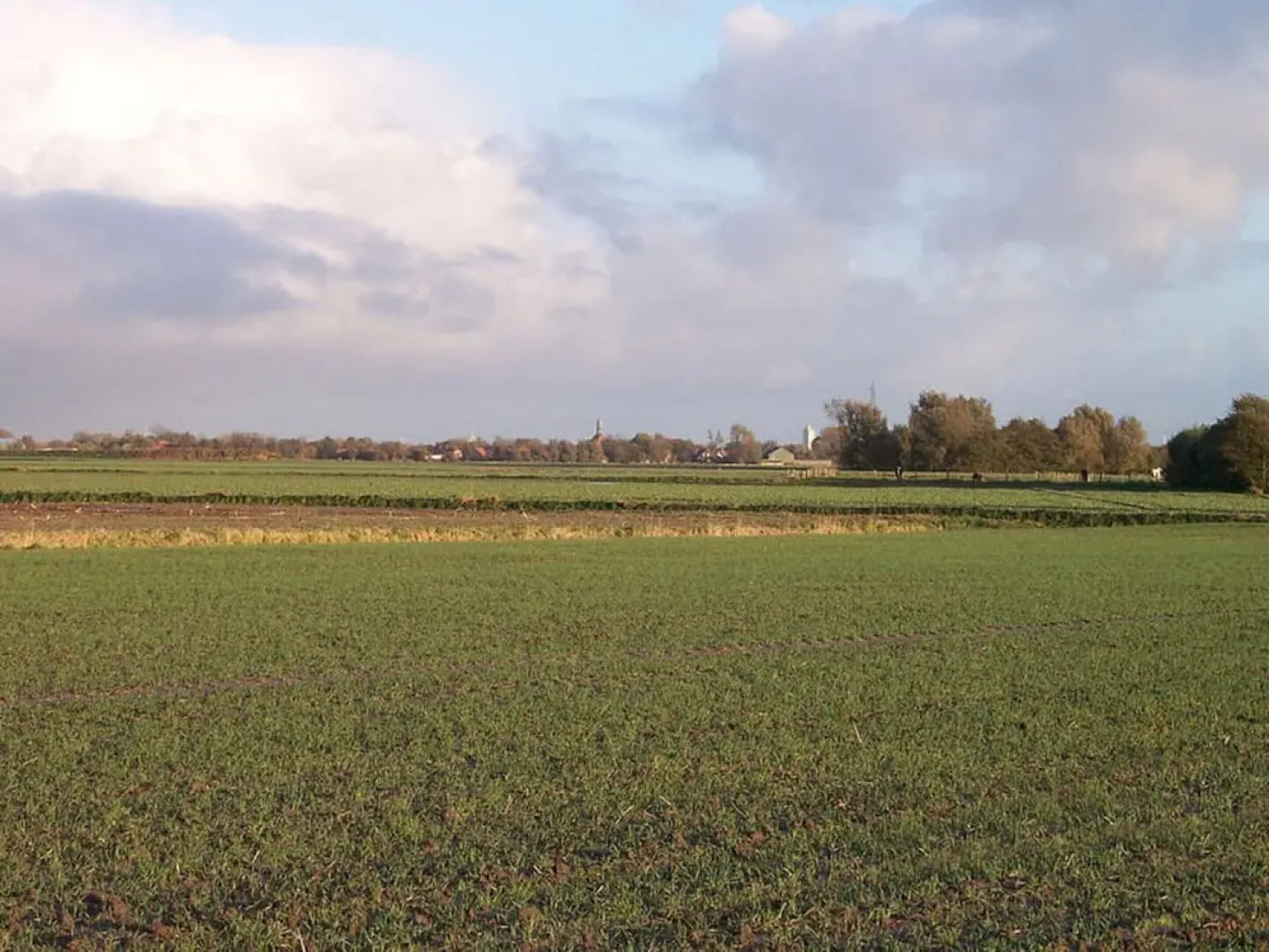 Thatched Roof House Kehl