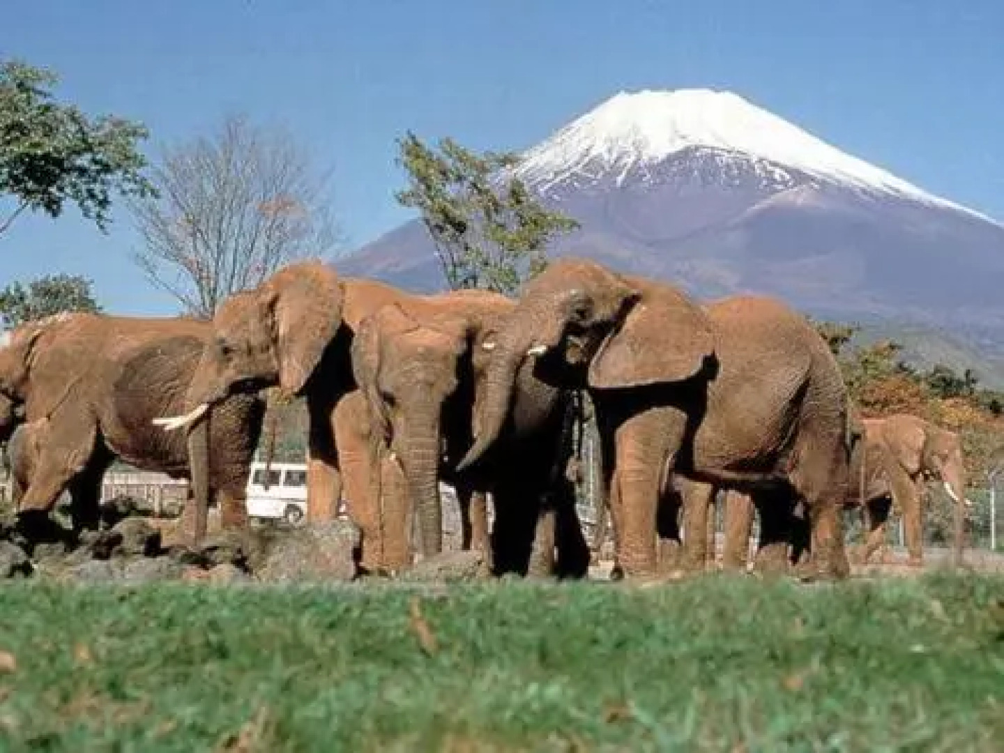 Business Hotel Kanekura