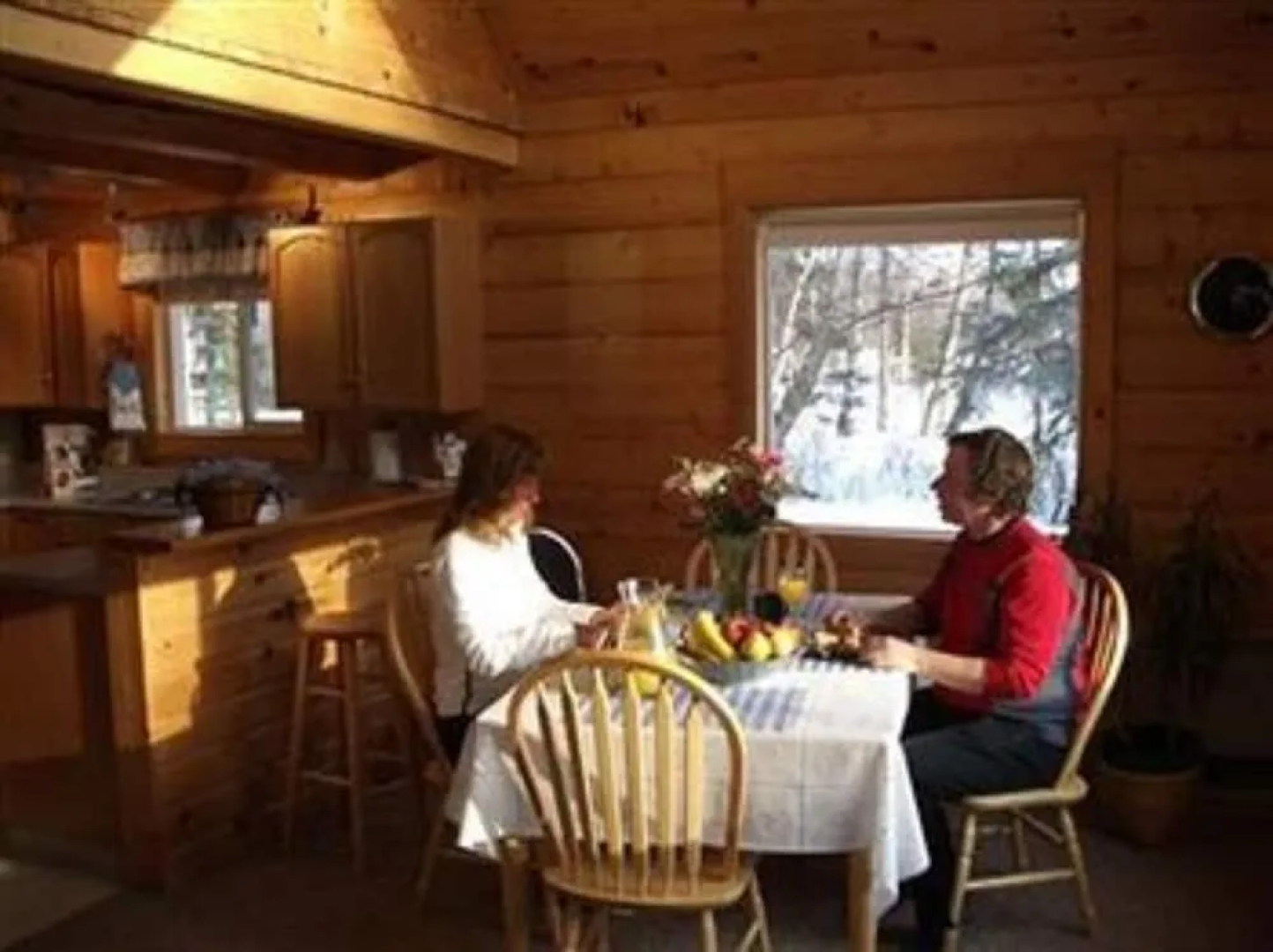 Hatcher Pass Cabins