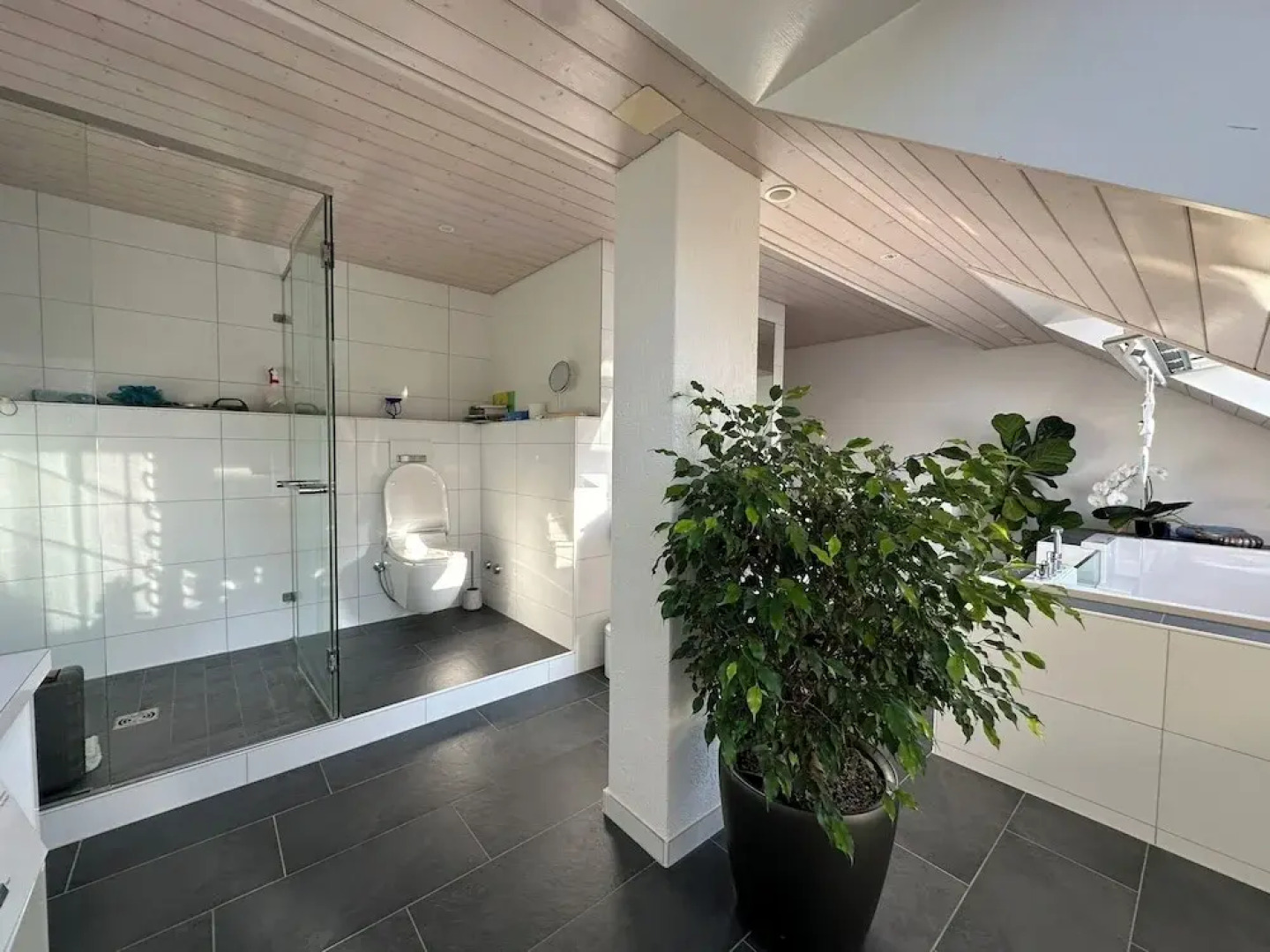 VK Zürich Airport Homestay Villa Bänikon