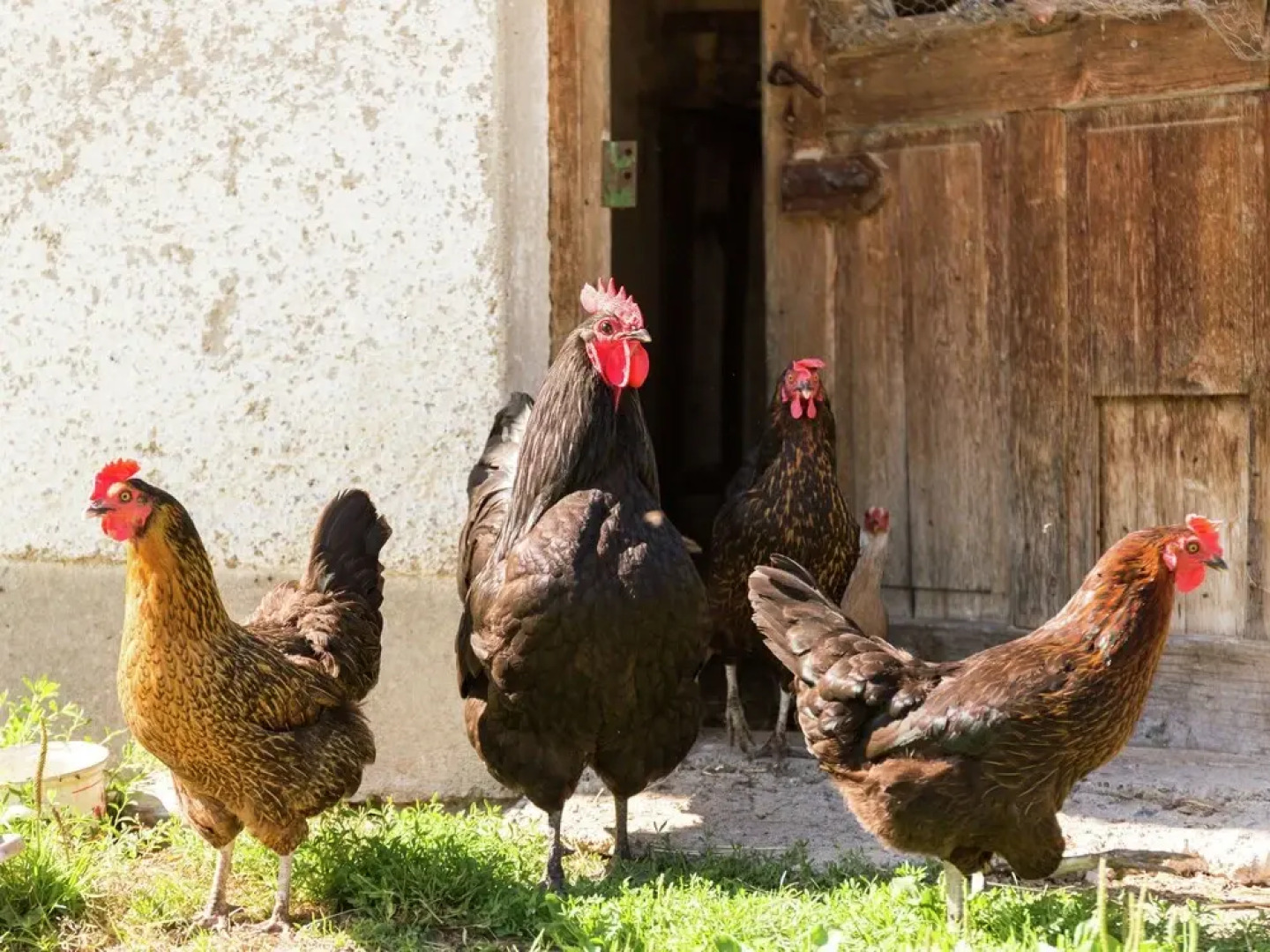 Cosy and Rurally Located Apartment With Garden and Terrace