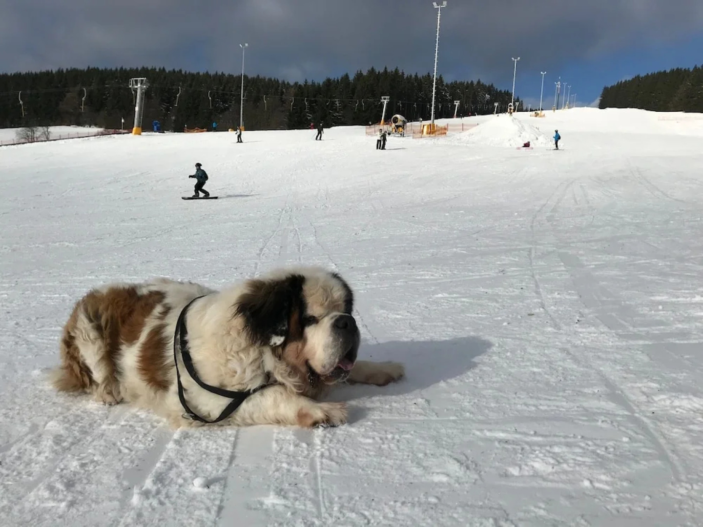 Ferienwohnung Reifberg