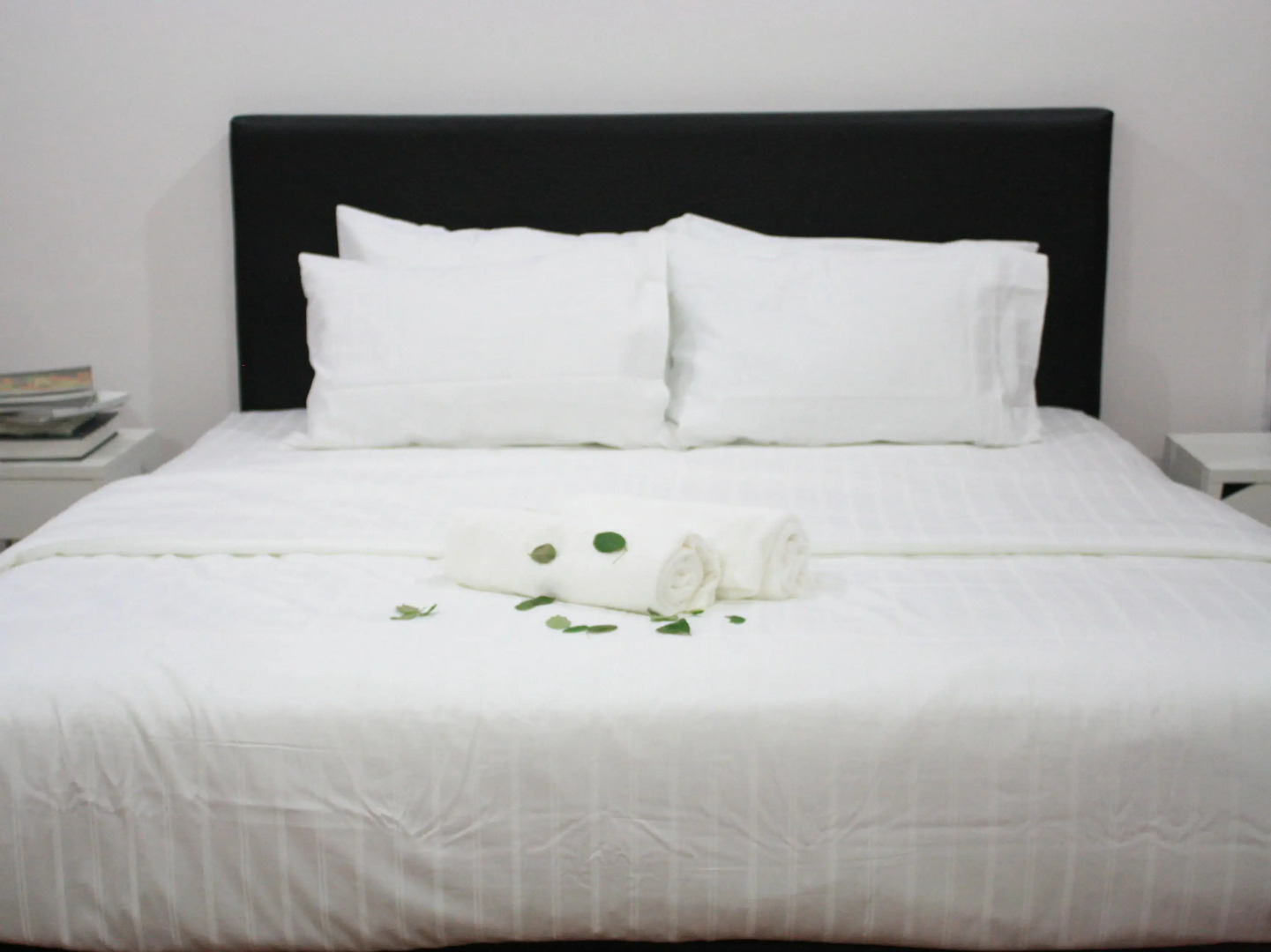 Senyum Zoo Negara Retreat