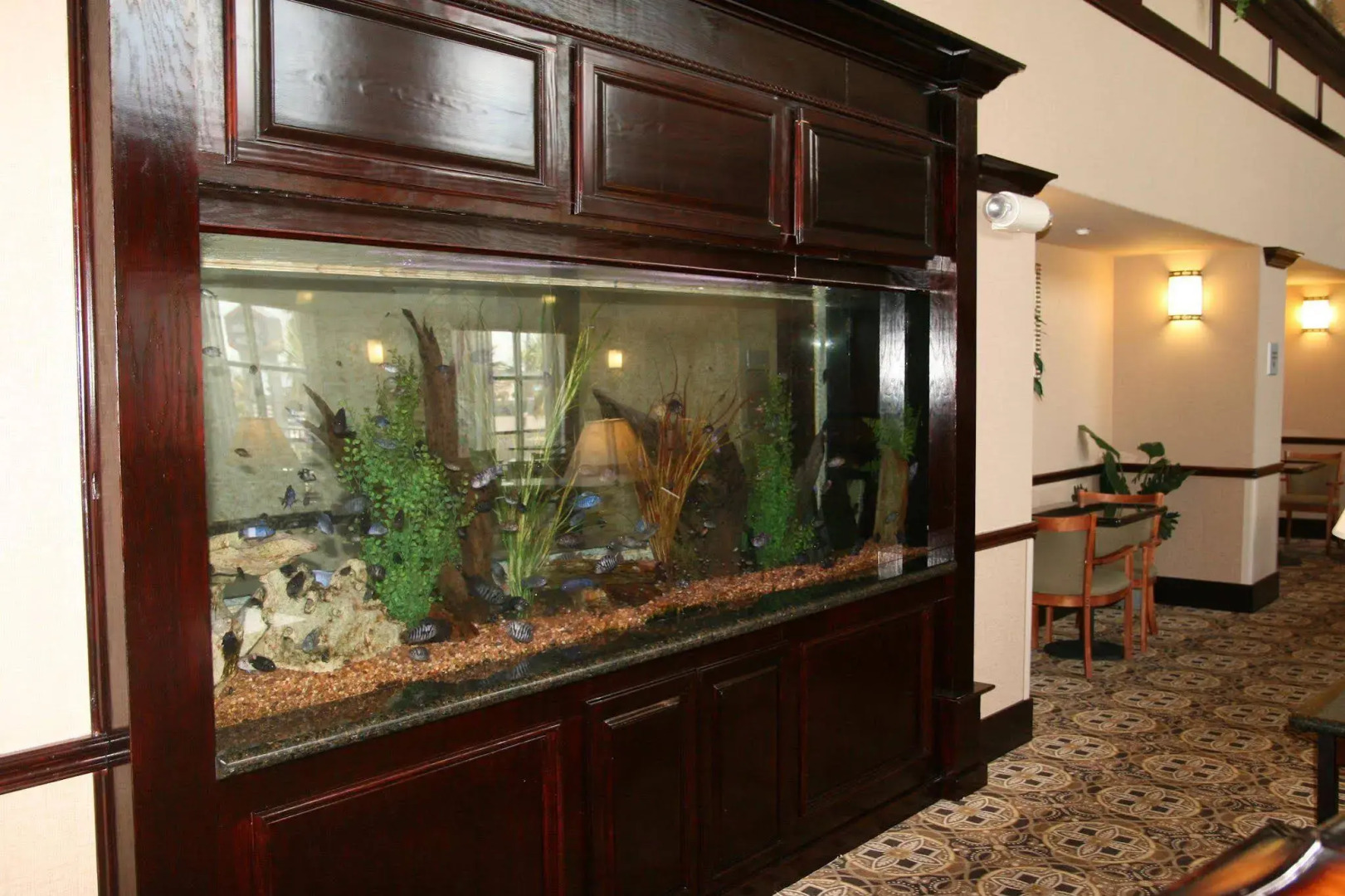 Hampton Inn & Suites Galveston