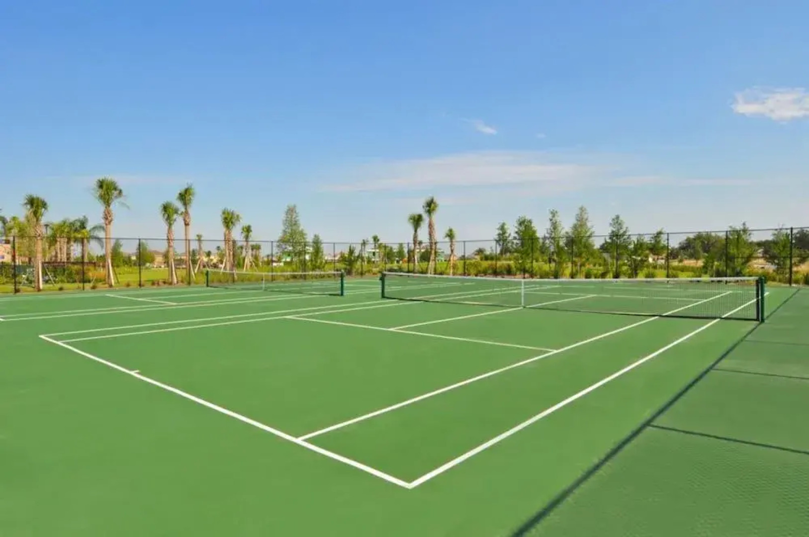 5165 Solterra House 5 Bedroom by Florida Star