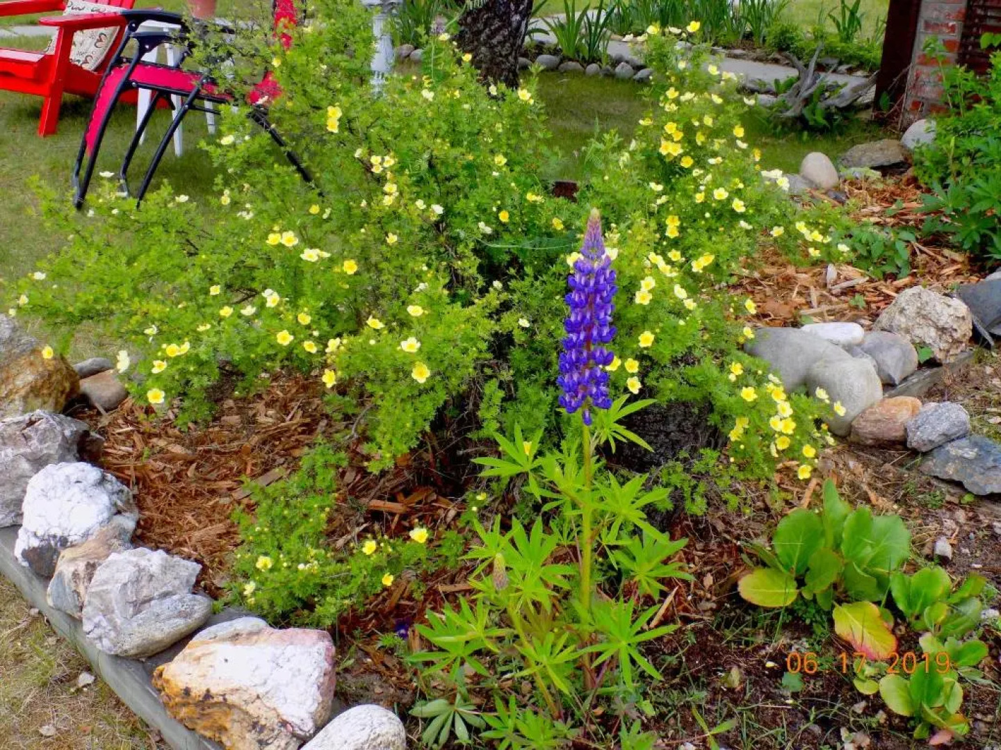 Rose Cottage Bed & Breakfast