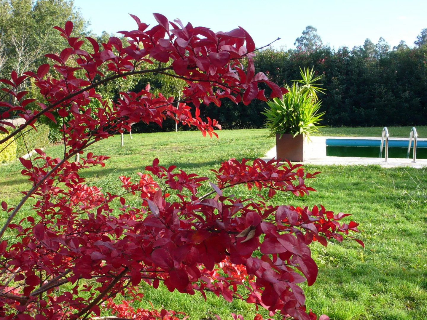 Cosy Holiday Home in Costoia With Private Pool and Garden