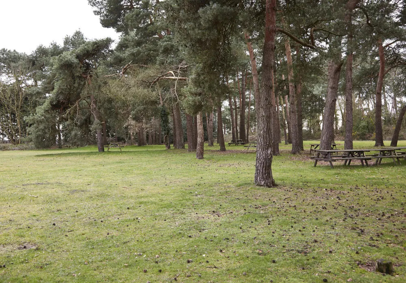 St Leonard's Hotel by Greene King Inns