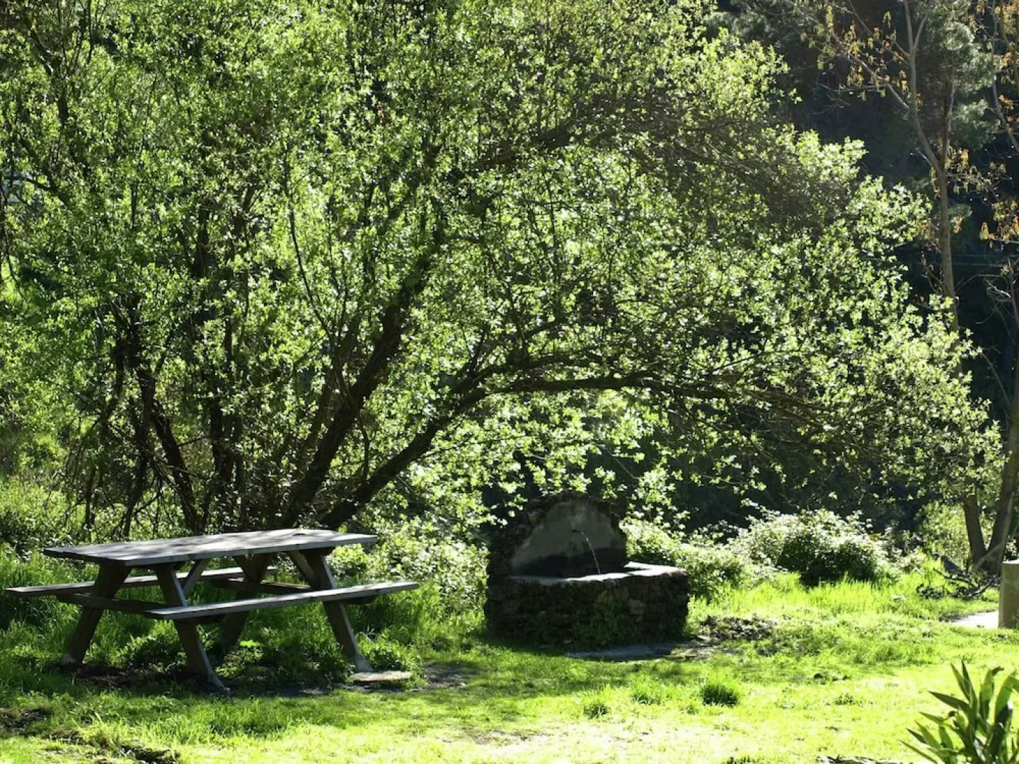 Pretty Cottage in Alcaucín with Private Swimming Pool