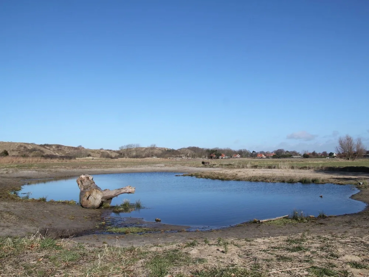 Beautiful new Villa With Sauna Surrounded by Dune Reserve Near the sea