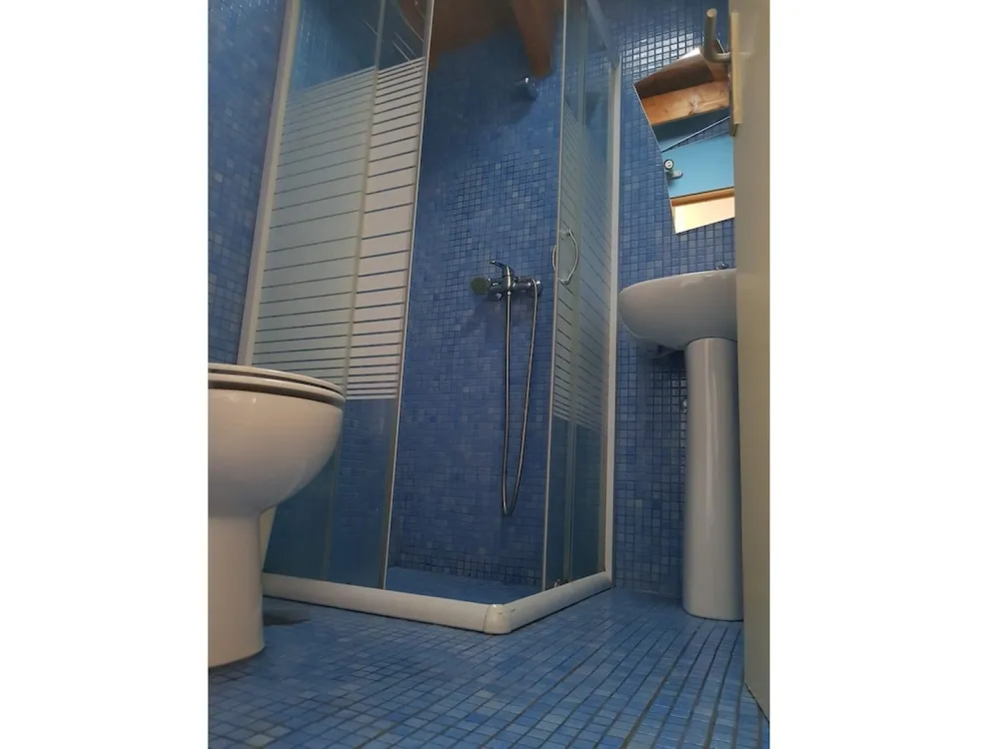 Sardines and Friends