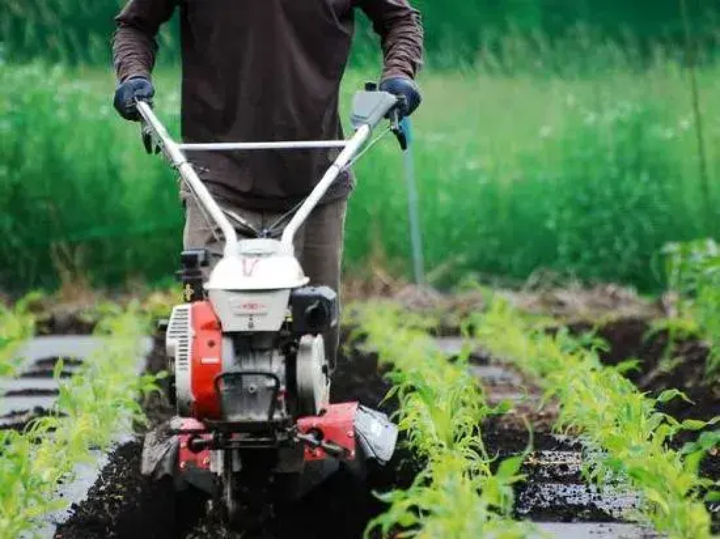 Yatsugatake Grace Hotel