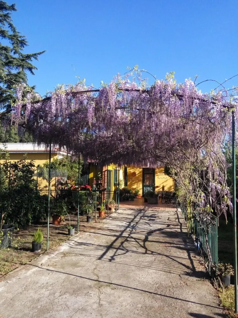 Villa With 2 Bedrooms In San Giovanni La Punta, With Private Pool, Furnished Terrace And Wifi - 10 Km From The Beach