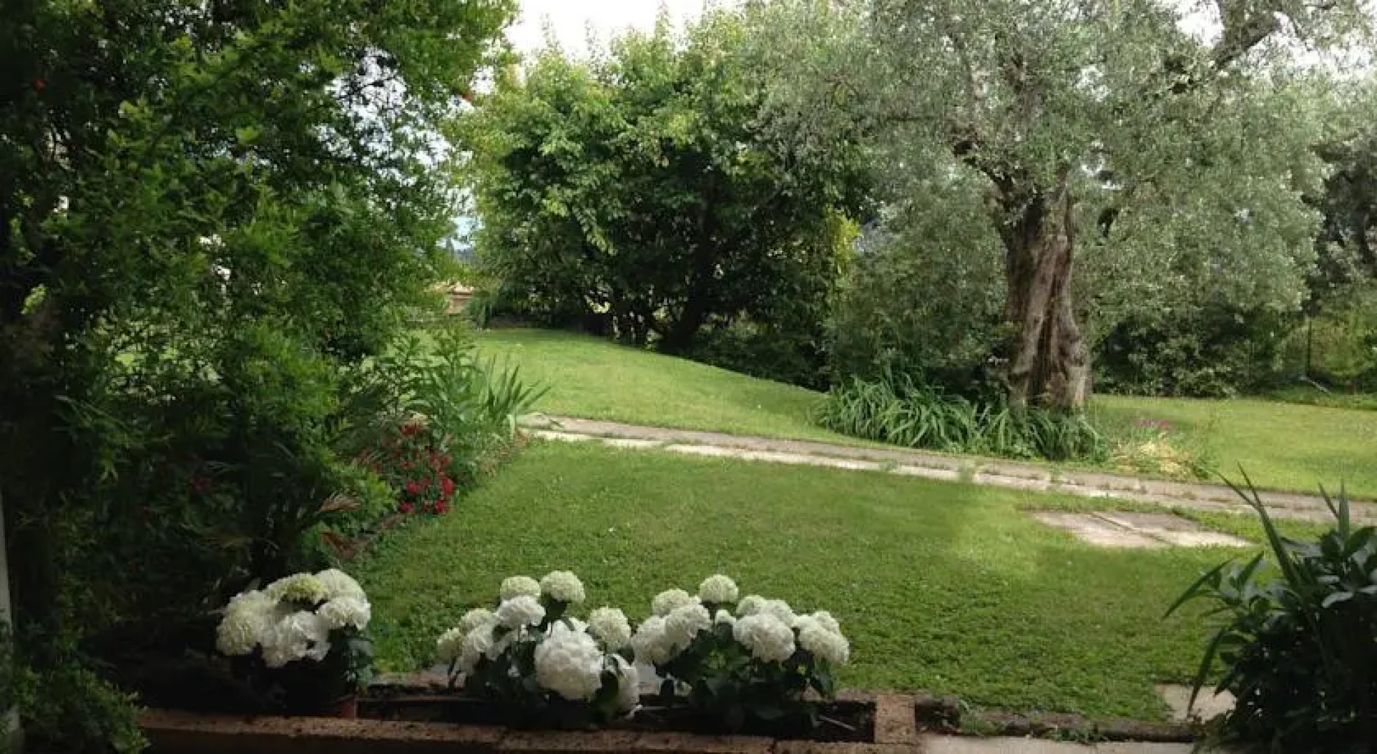 Il Paradiso del Garda