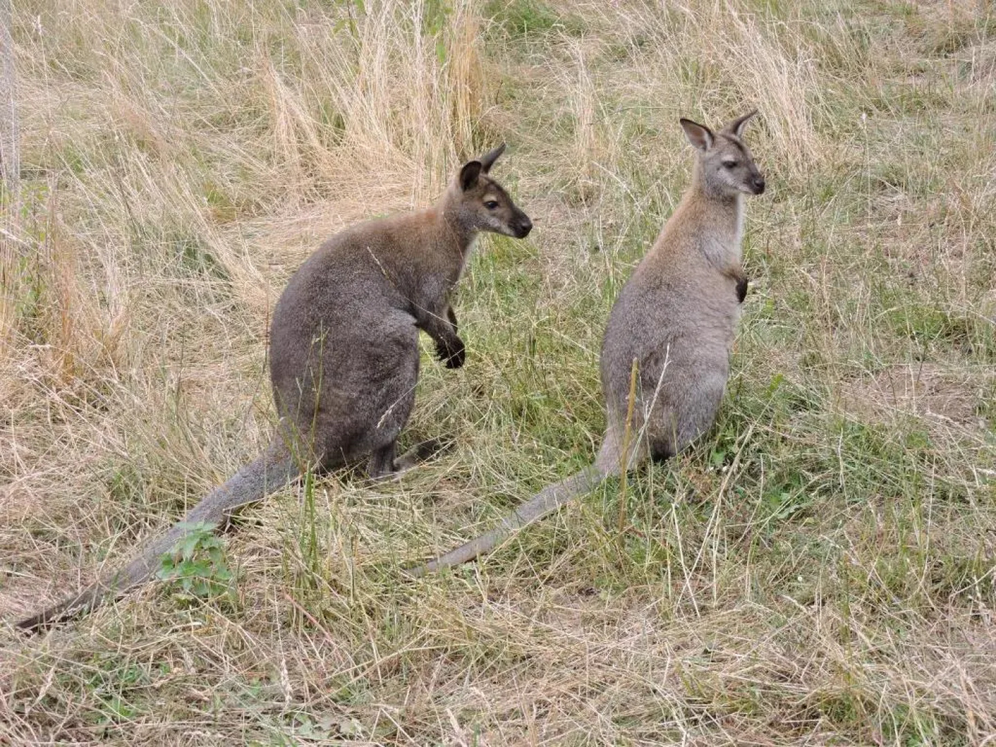 Apartmány Na Lontě
