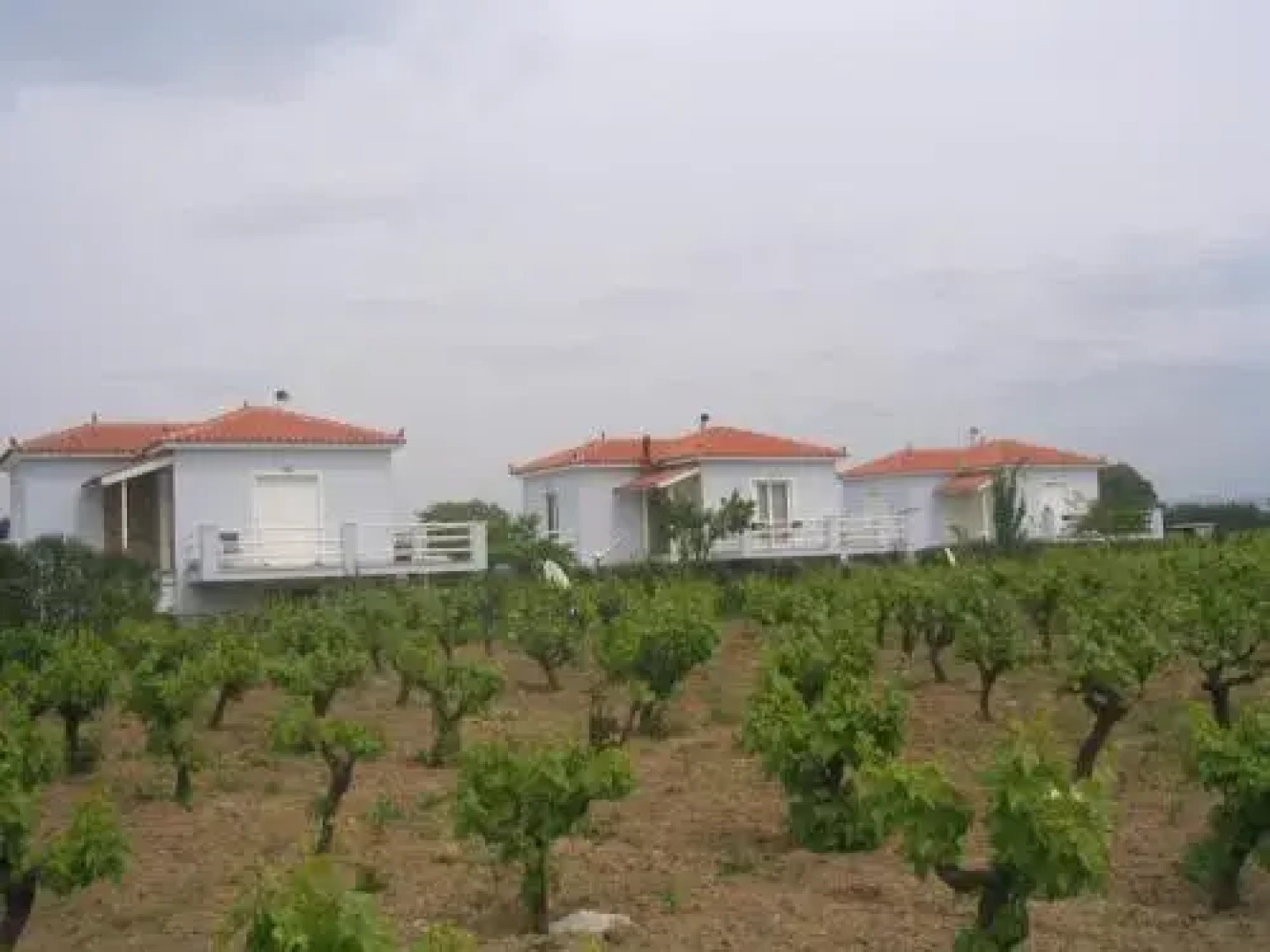 Carpe Diem Villas and Houses