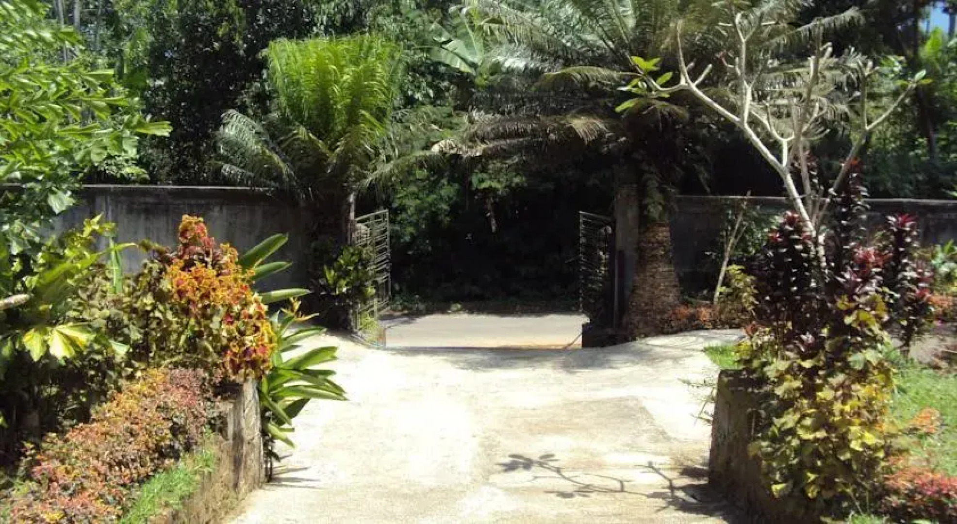 WAA Angsri Jatiluwih