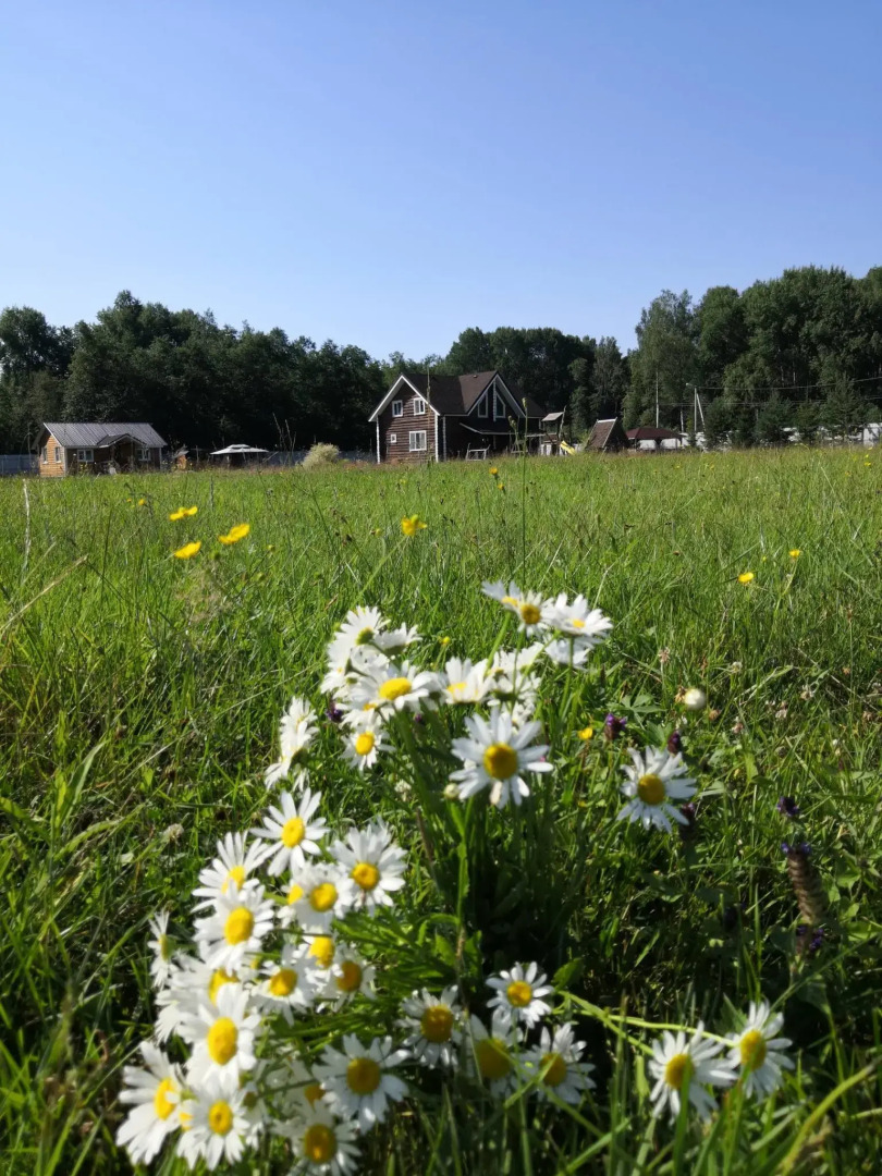 Усадьба Красивая