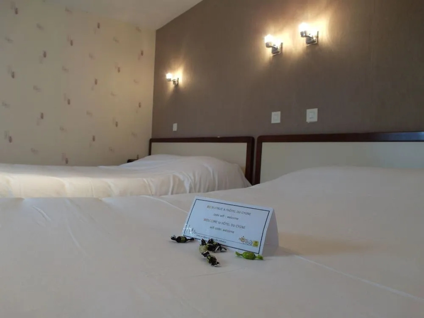 Hôtel Du Cygne